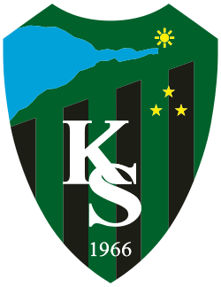 Kocaelispor crest